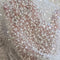 Beaded Cobweb Net LV13503 Ivory