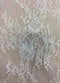 Beaded fine lace (1293bd) Light Ivory 3m PANEL